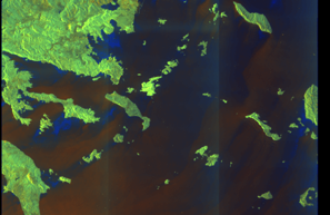 SAR preview