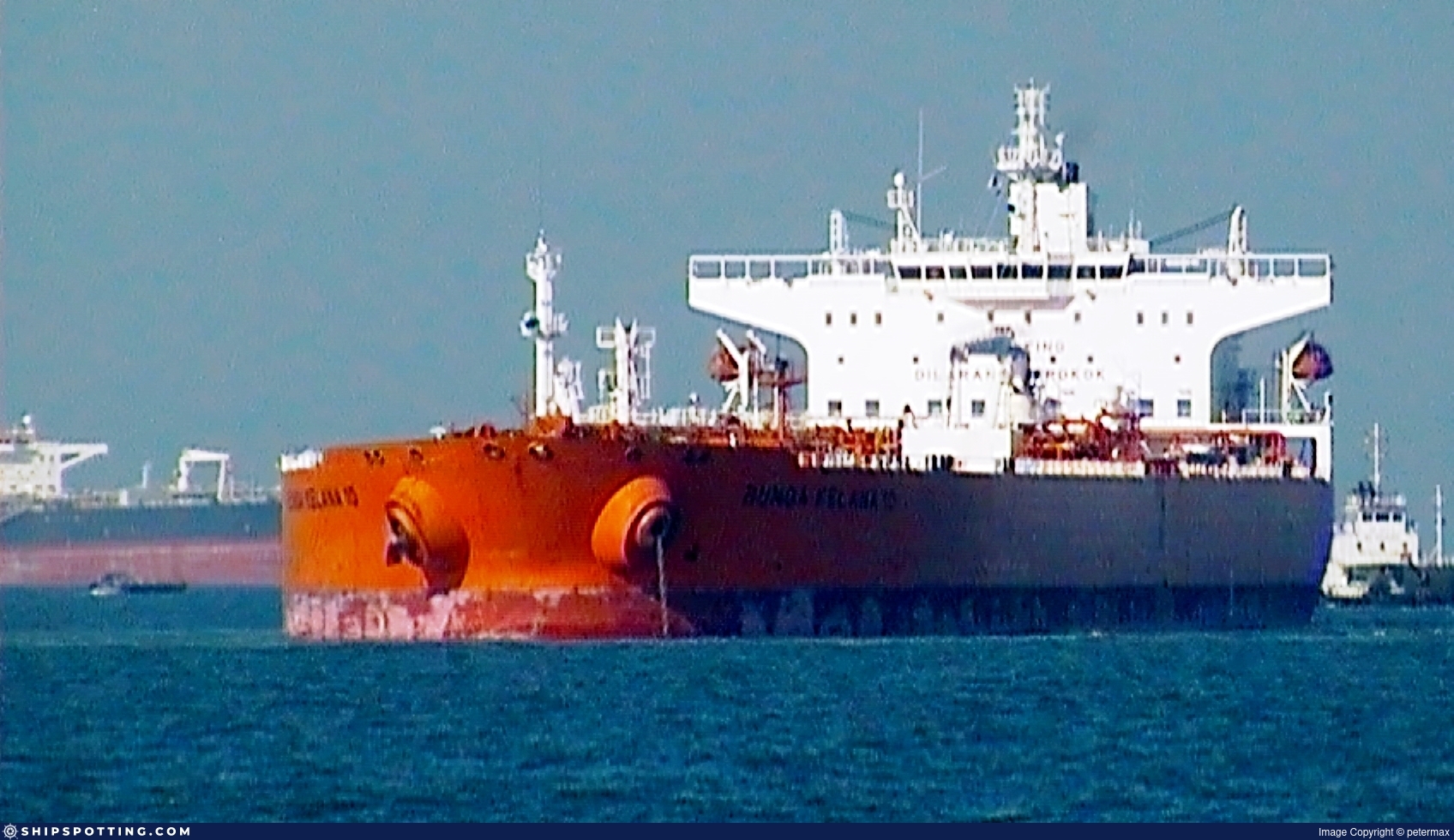 BUNGA KELANA 10
