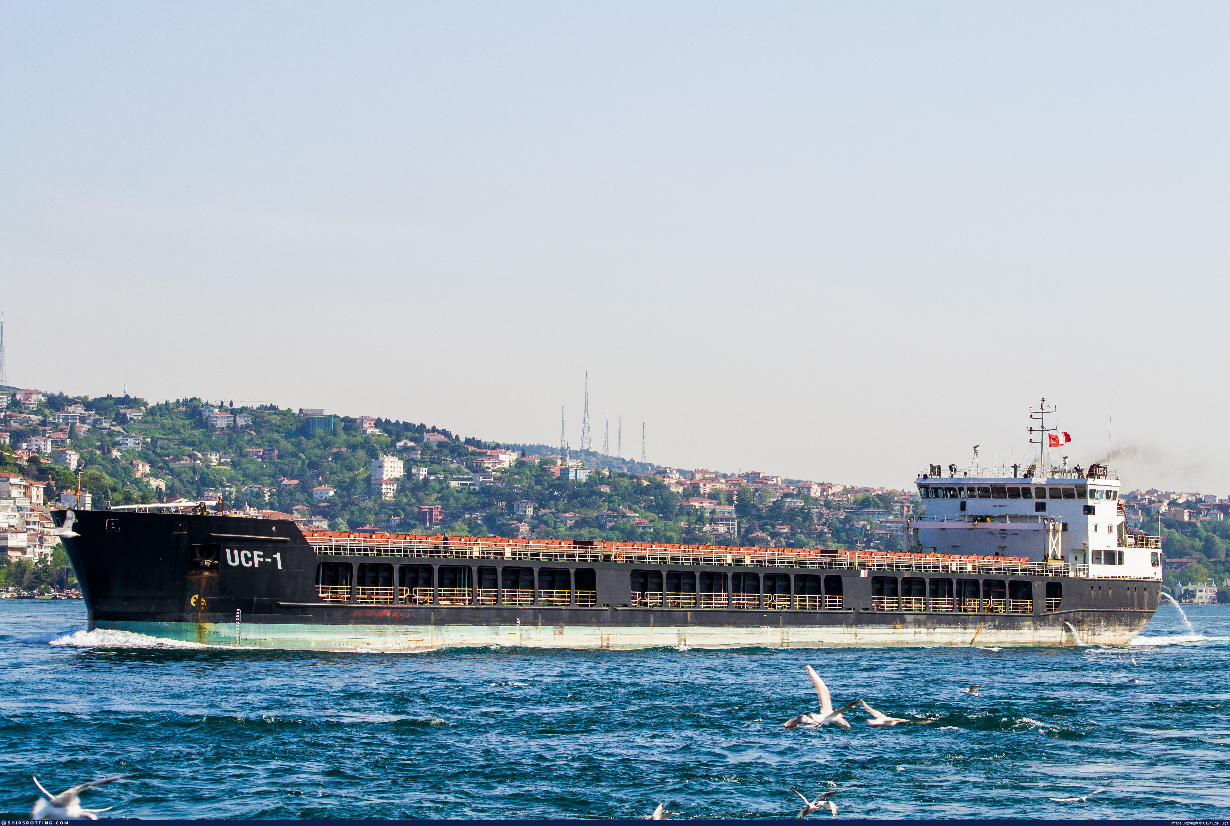PORT OLYA-2