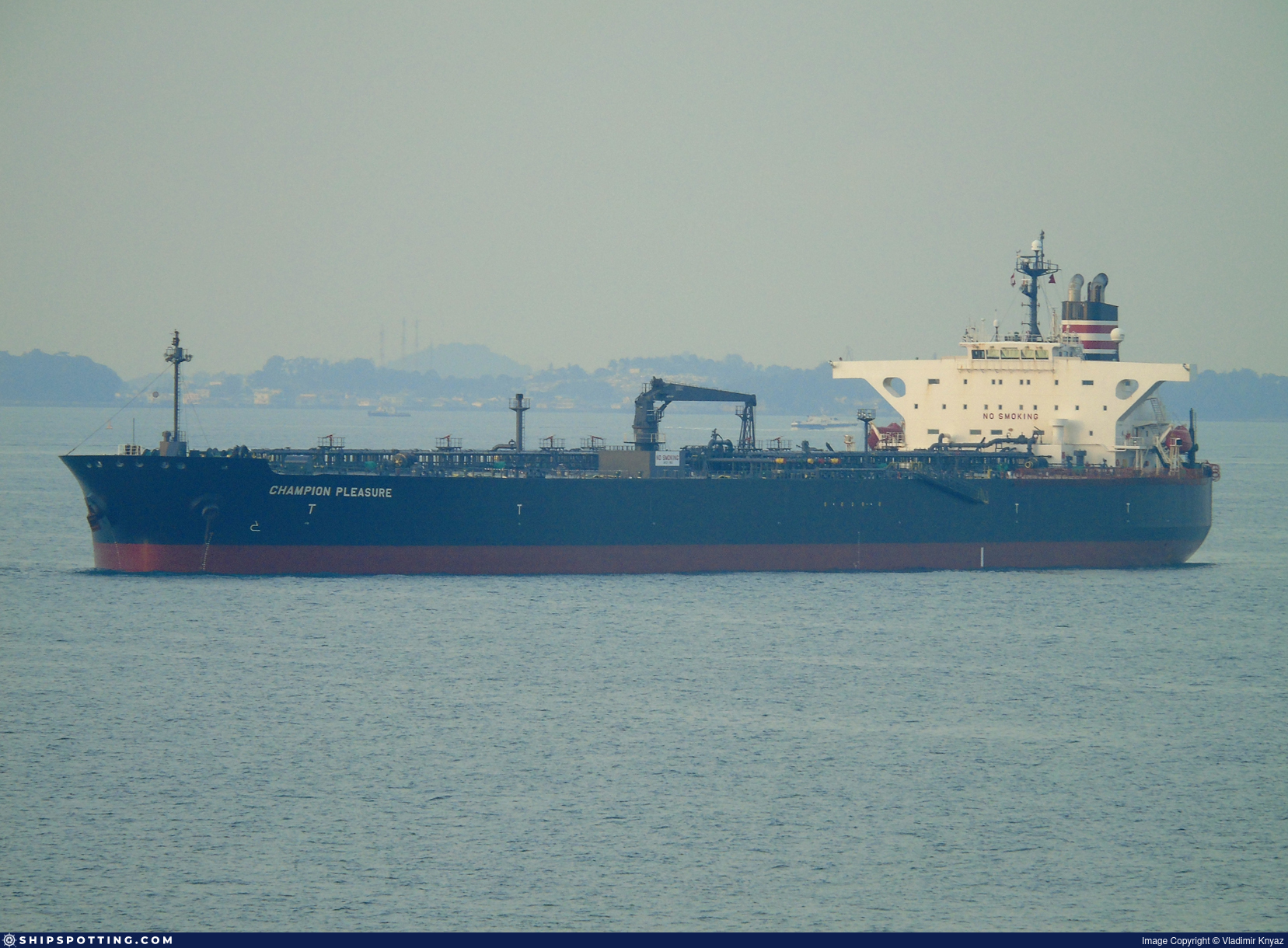 ELYTE