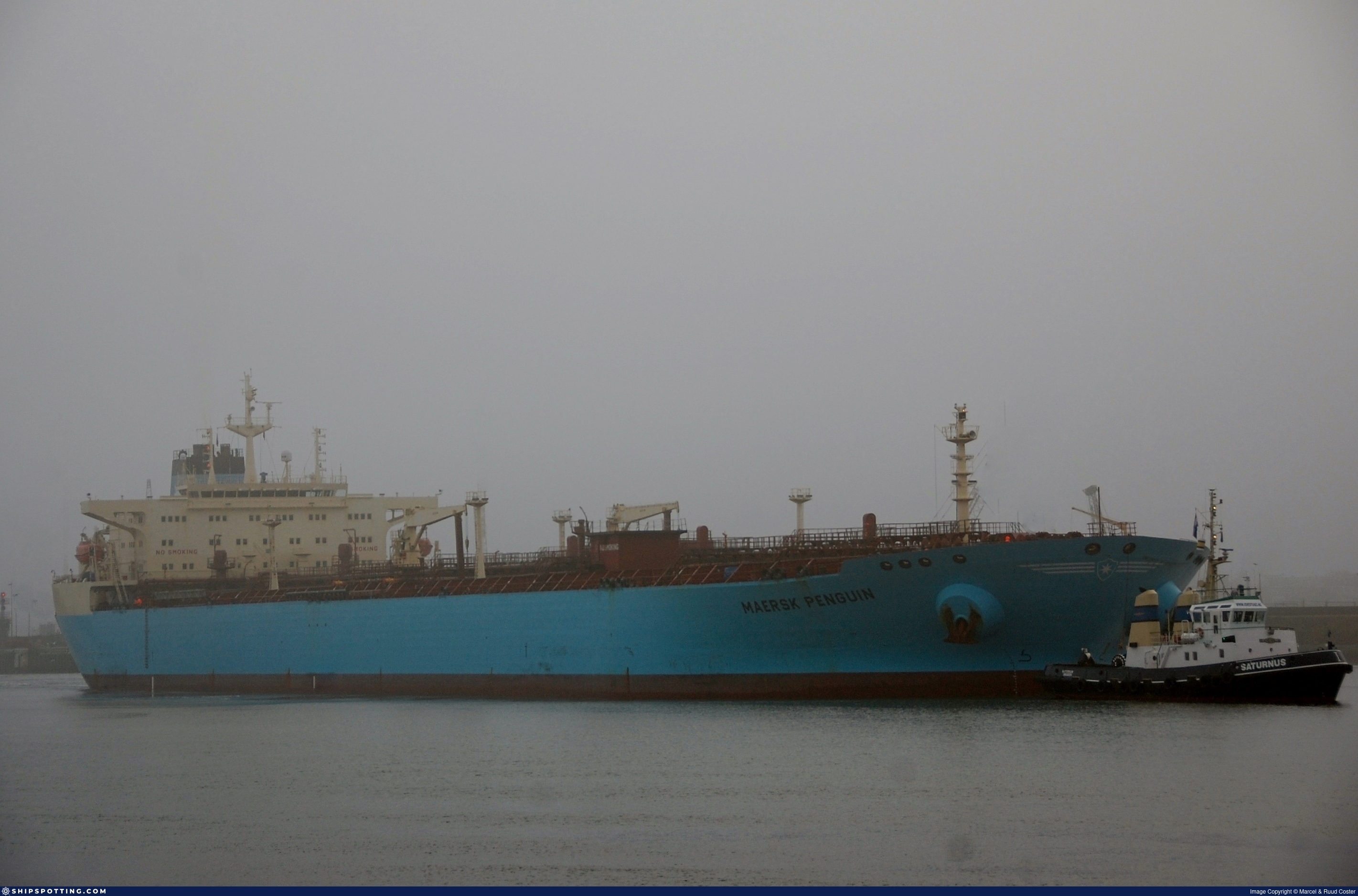 MAERSK PENGUIN