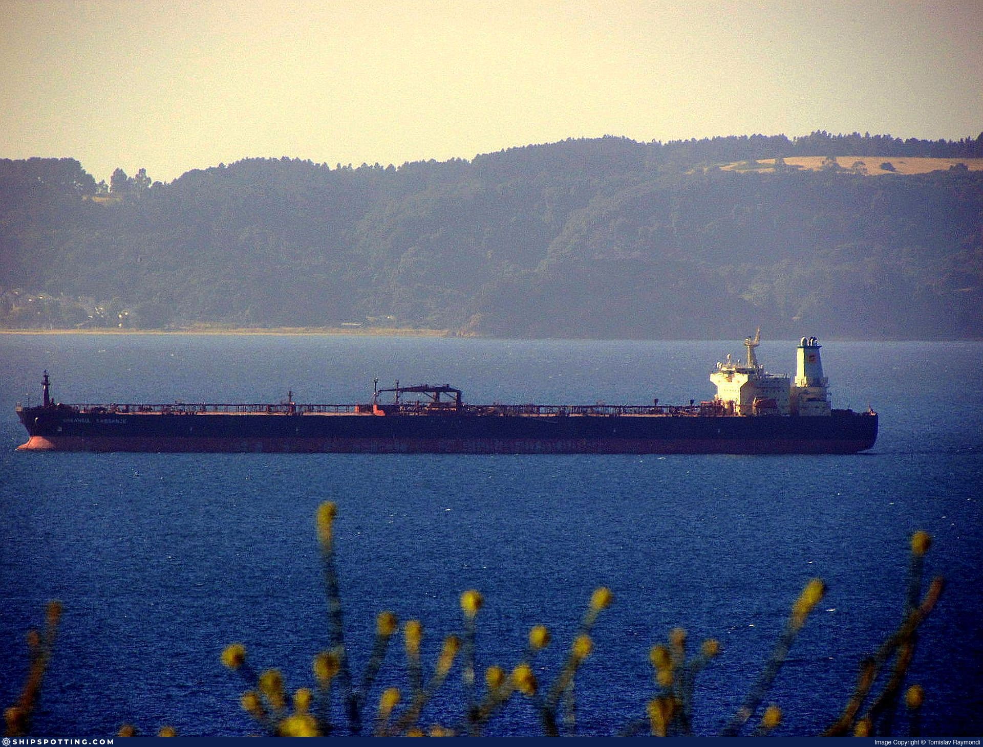 SEA HONOR
