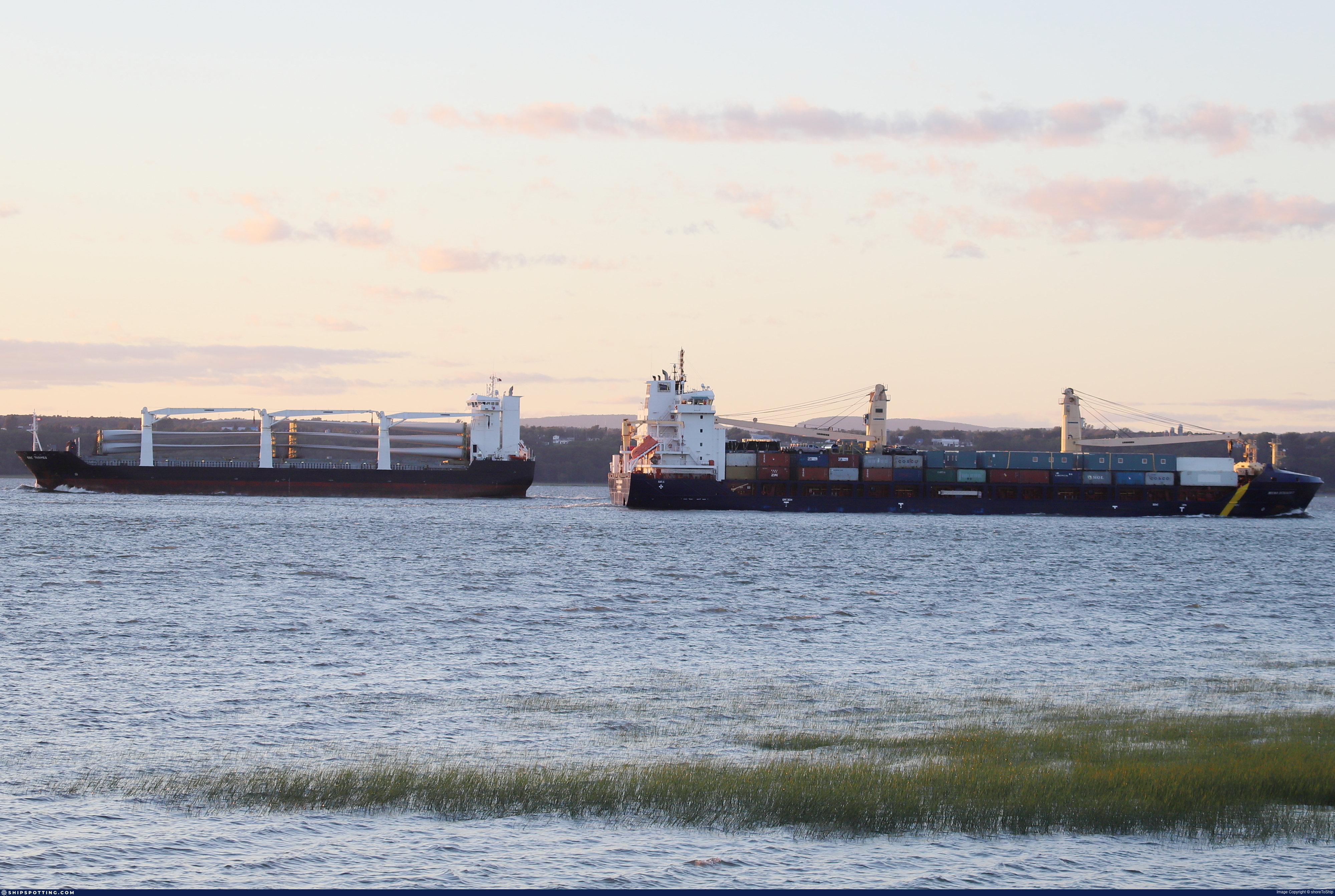 MYS DEZHNEVA