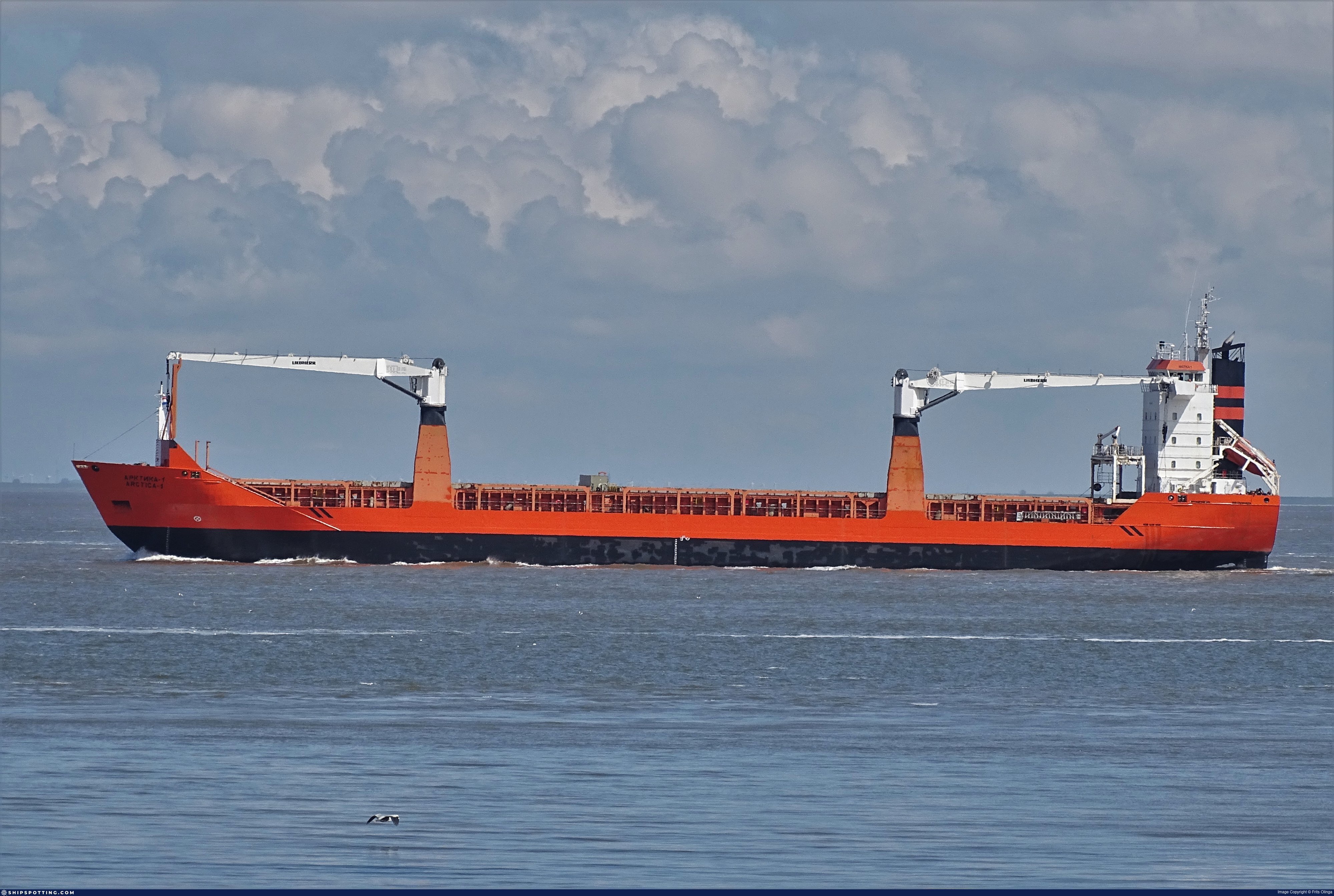ARCTICA-1