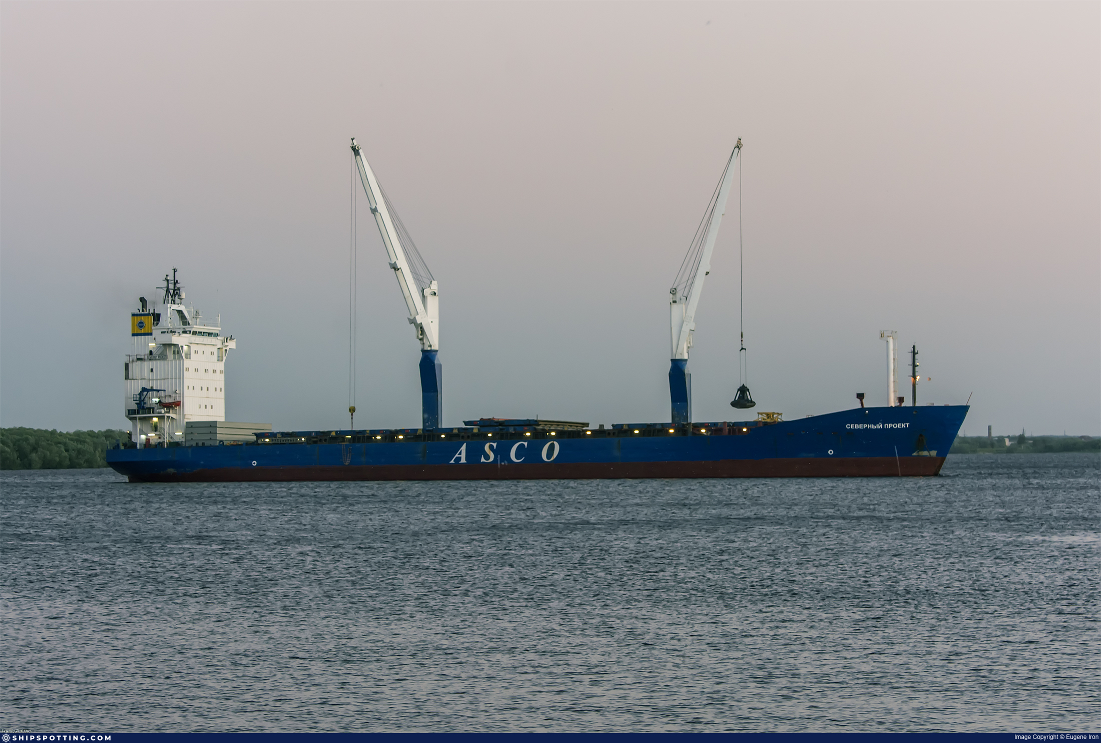 NILEDUTCH KUITO