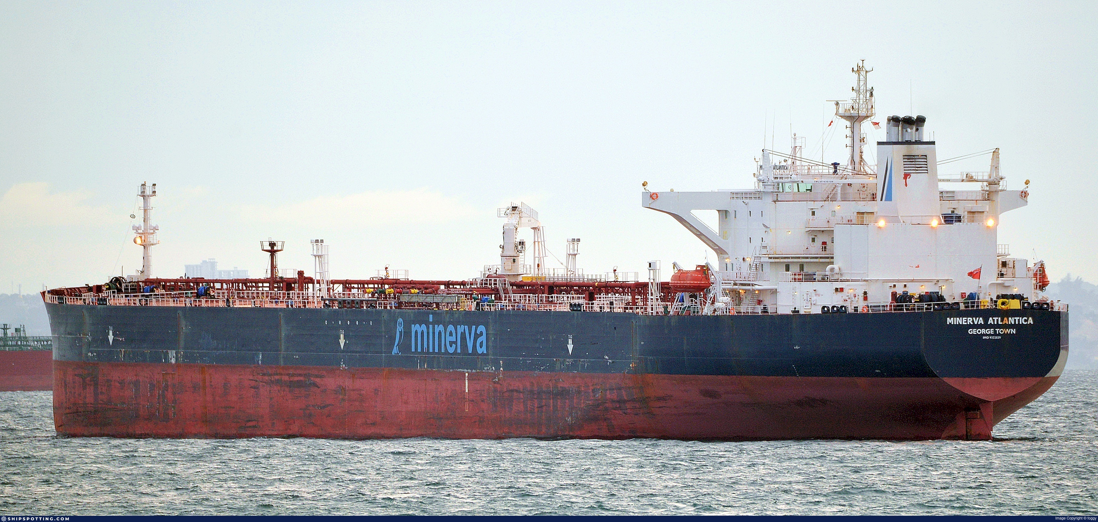 MINERVA ATLANTICA