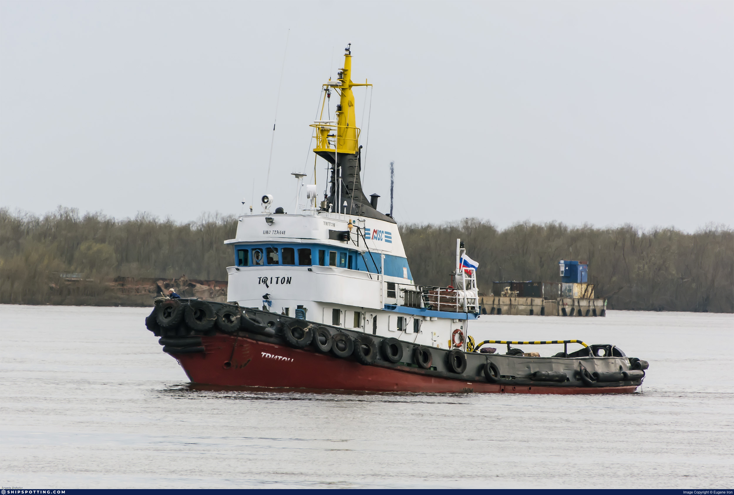 TRITON