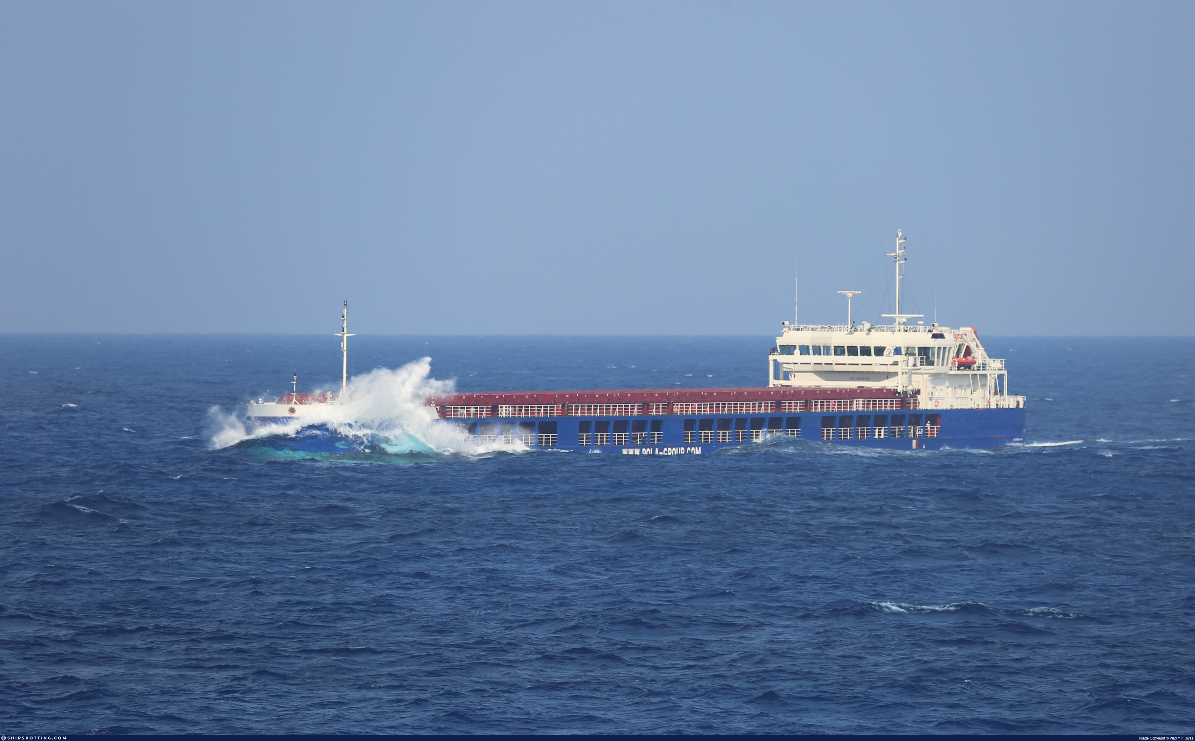 POLA SOFIA