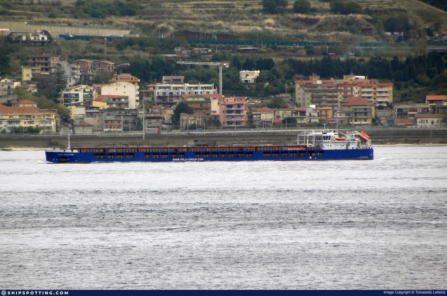 POLA PELAGIA
