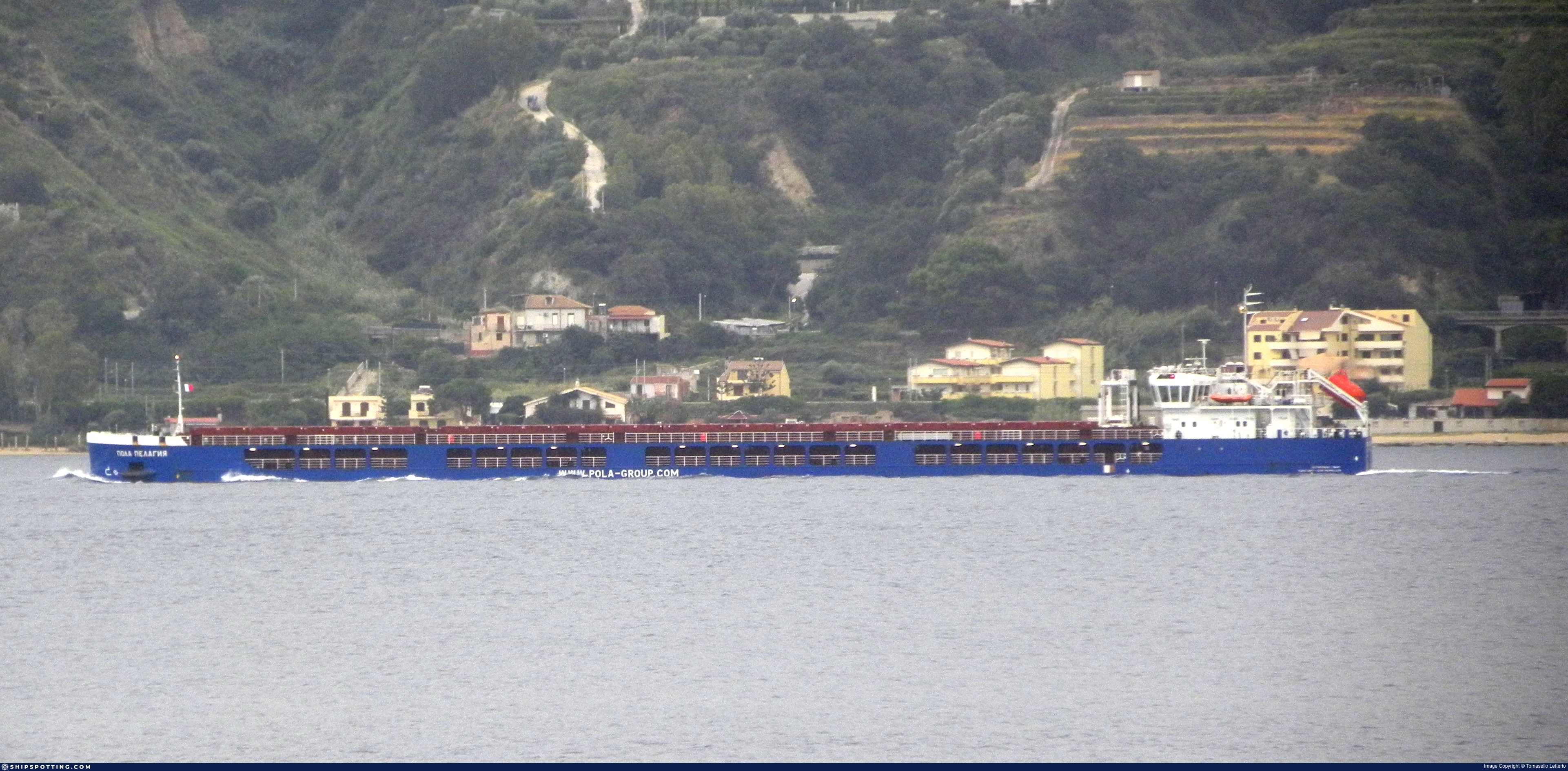 POLA PELAGIA